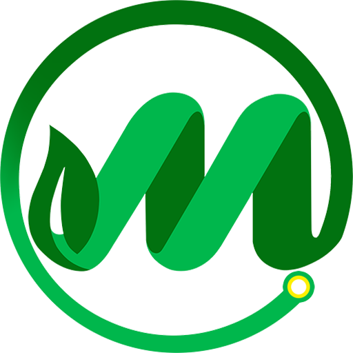 More Electric and Power Corporation